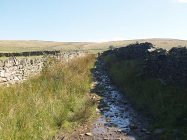 Track 143 from top of Laneside Road running up and E over Beard Moor. Looking E from SK 029 846.
